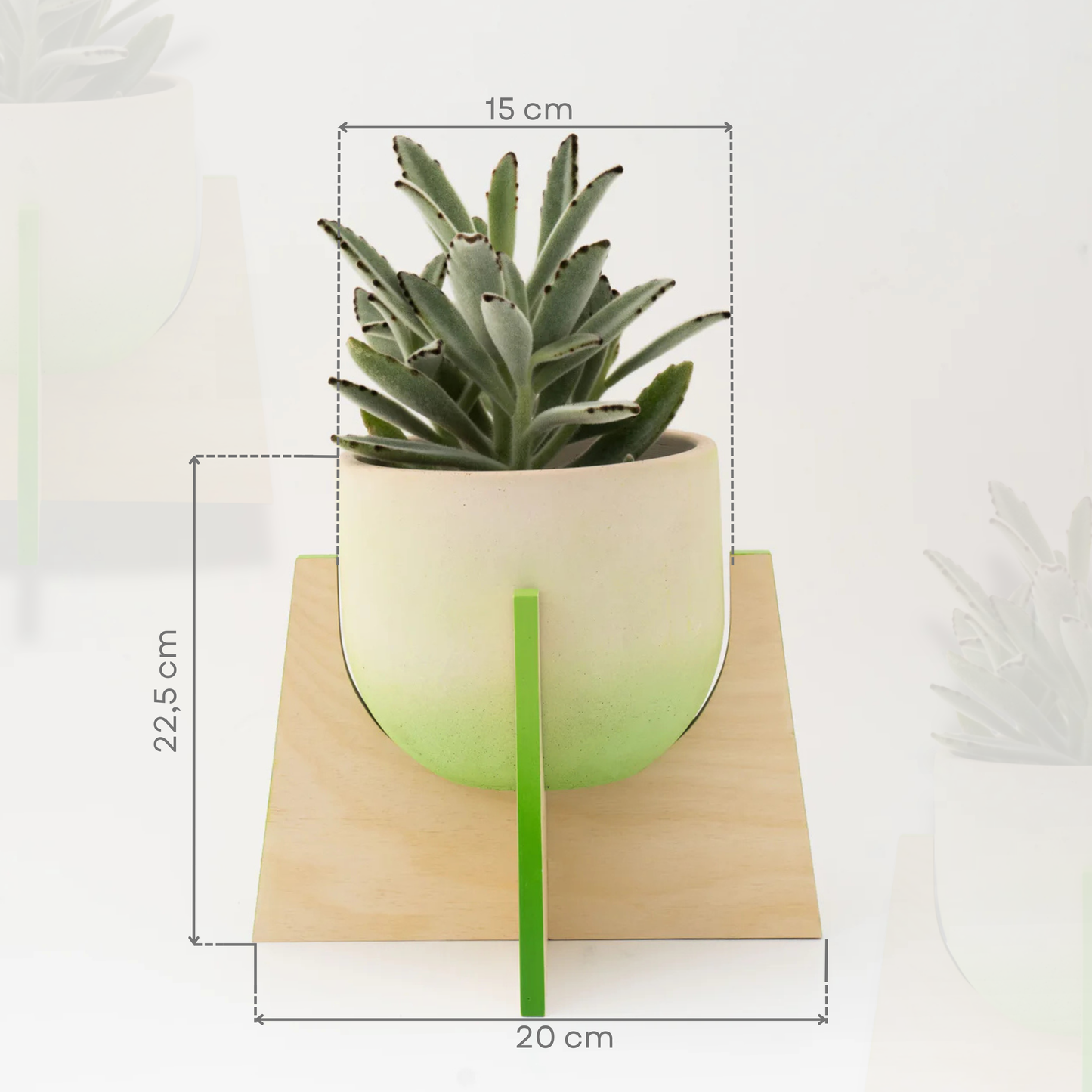 Pineapple Ahşap Ayaklı Beton Saksı