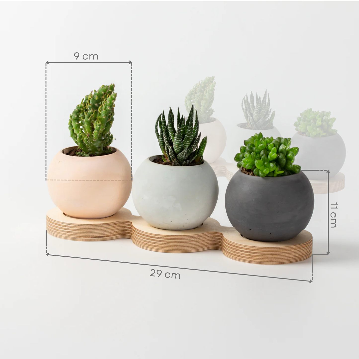 3 Piece Concrete Pot With Wooden Table