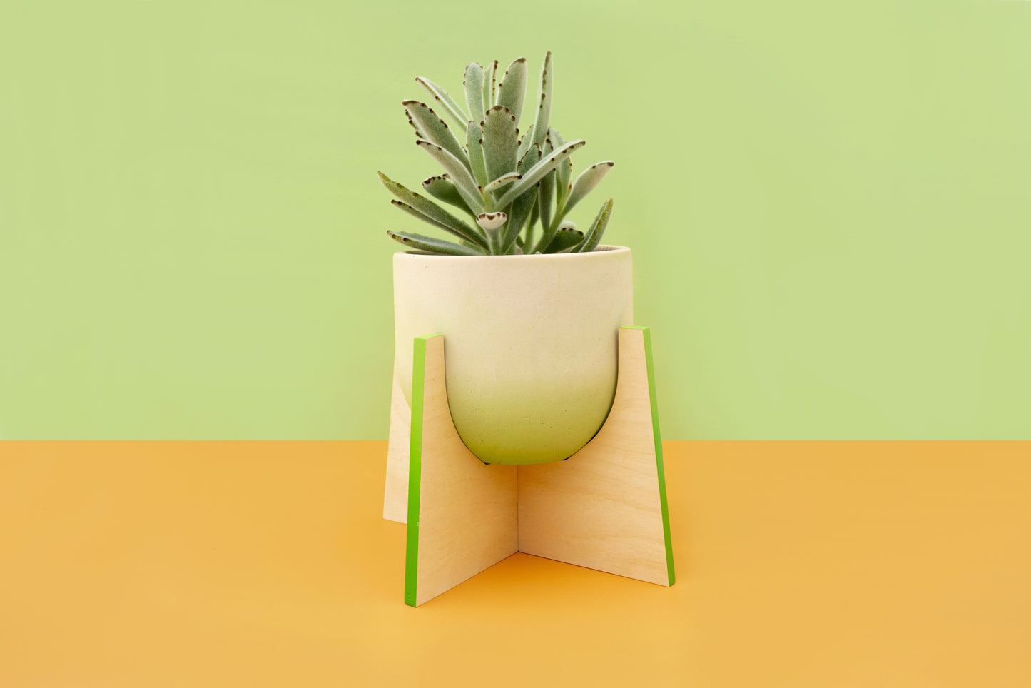 Pineapple Ahşap Ayaklı Beton Saksı