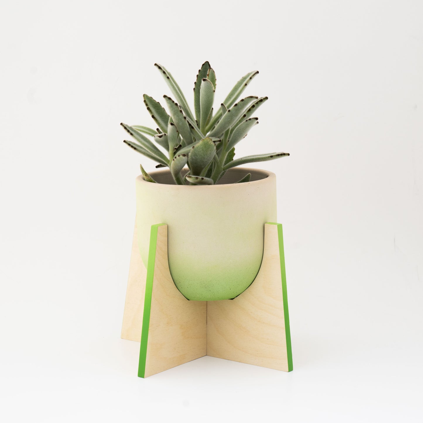 Pineapple Ahşap Ayaklı Beton Saksı