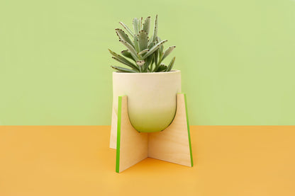 Pineapple Concrete Flower Pot with Wooden Leg