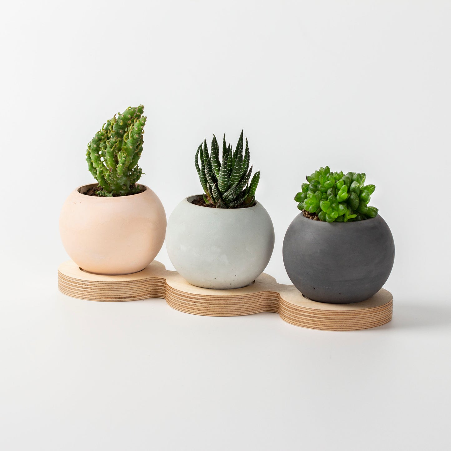 3 Piece Concrete Pot With Wooden Table