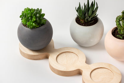 3 Piece Concrete Pot With Wooden Table