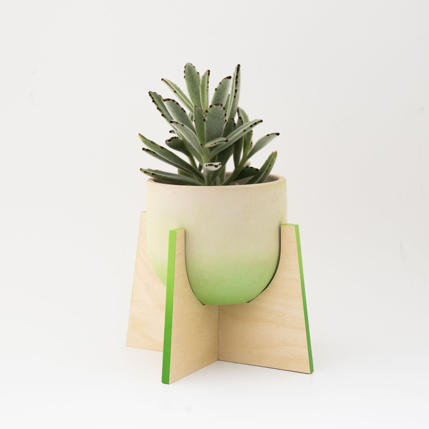 Pineapple Concrete Flower Pot with Wooden Leg