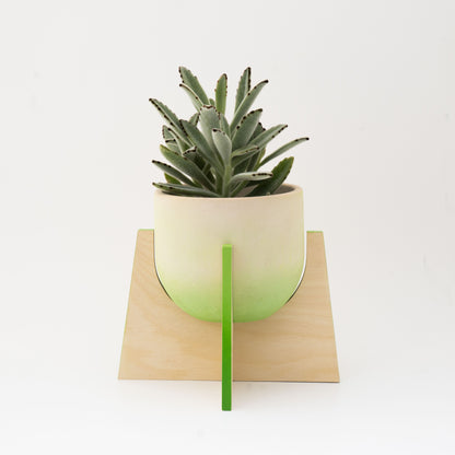 Pineapple Concrete Flower Pot with Wooden Leg