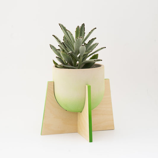 Pineapple Concrete Flower Pot with Wooden Leg