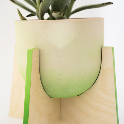Pineapple Concrete Flower Pot with Wooden Leg