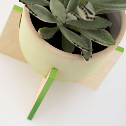 Pineapple Concrete Flower Pot with Wooden Leg